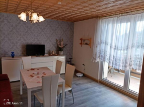 Beautiful apartment with balcony in the Altenburg countryside in Schm lln